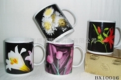 BOXIN CERAMIC MANUFACTURING CO.LTD.: 卓越品质，传承陶瓷艺术